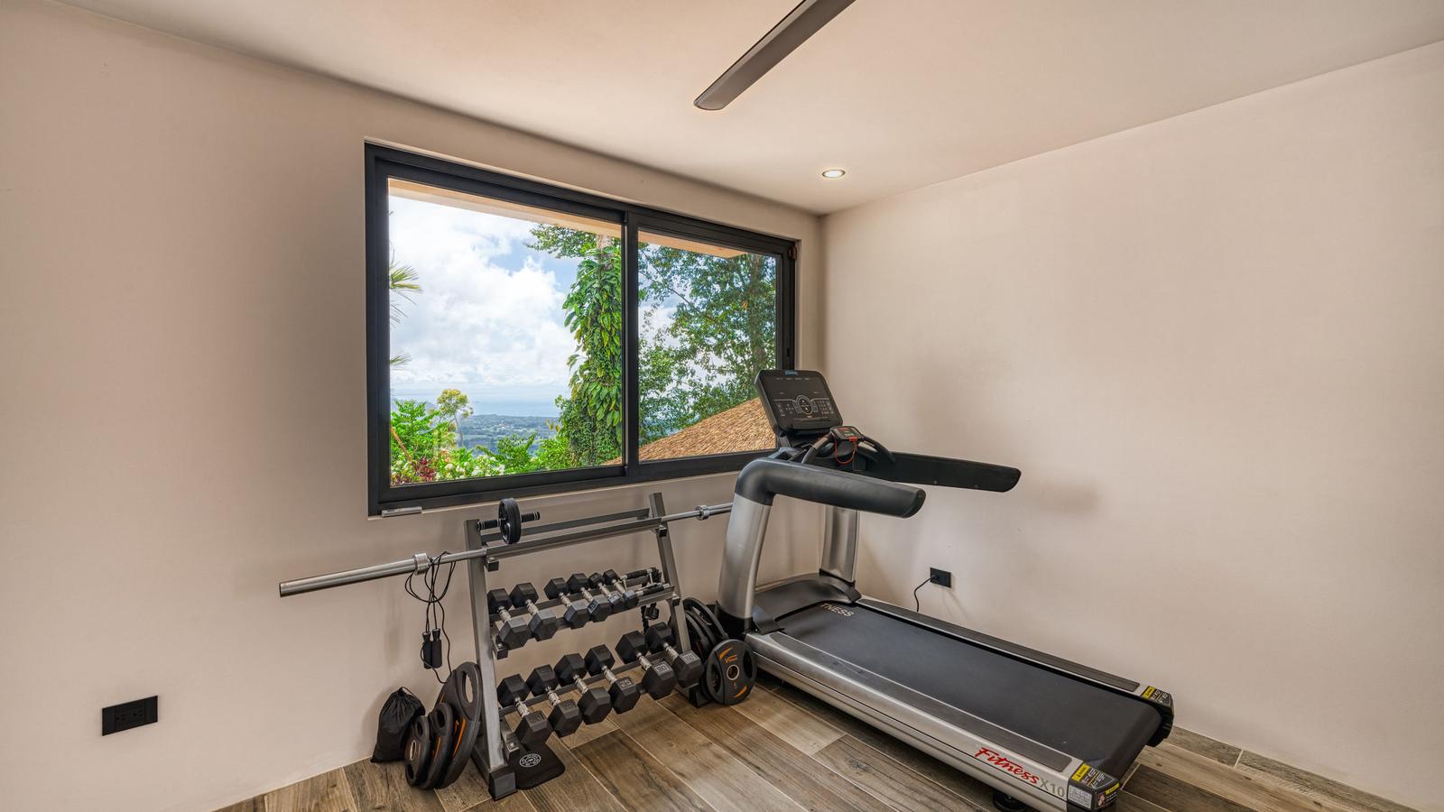 the gym, looking down the valley to the sea