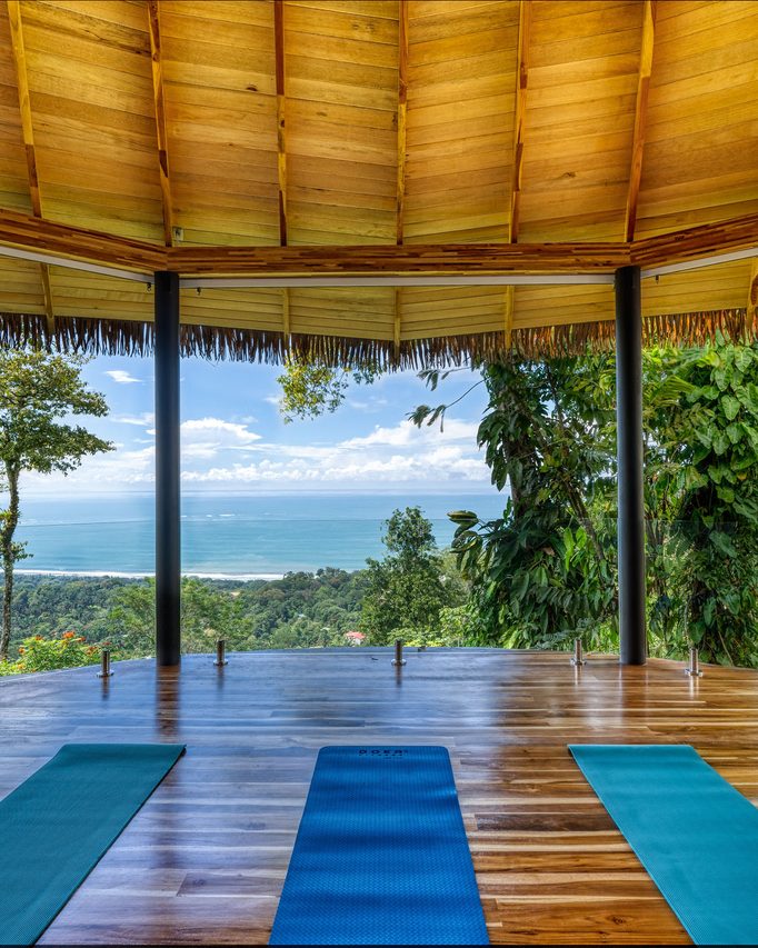 the infinity pool running the length of the house